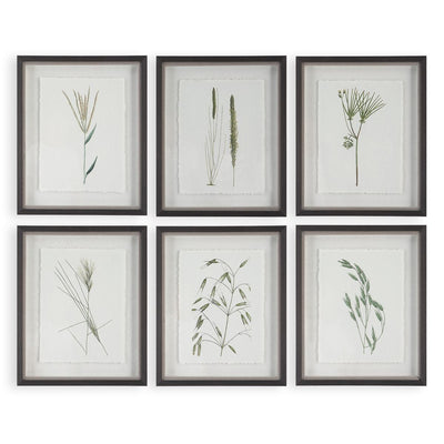 Forest Finds Framed Prints, S/6 - Wall Art