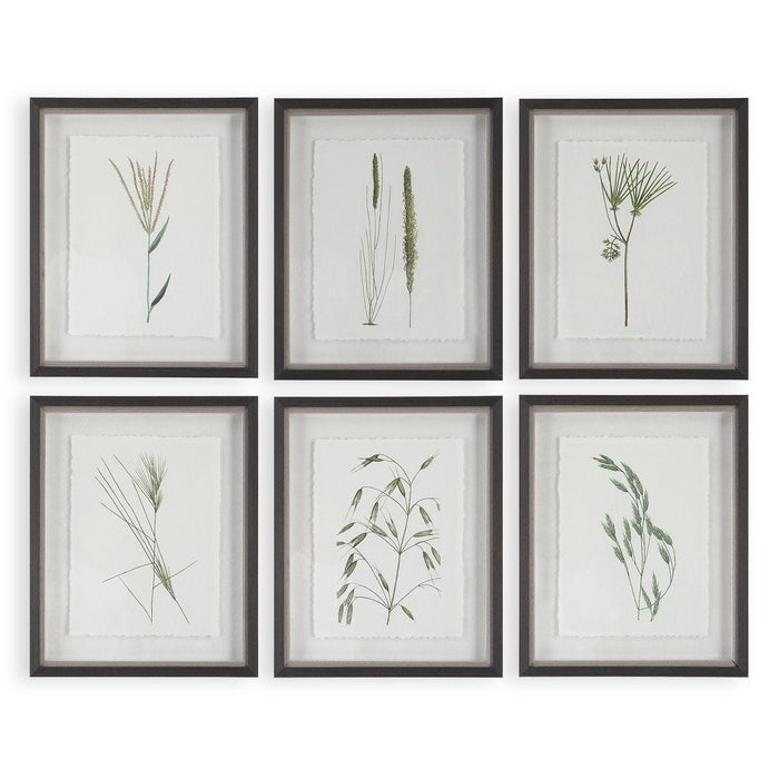 Forest Finds Framed Prints, S/6 - Wall Art