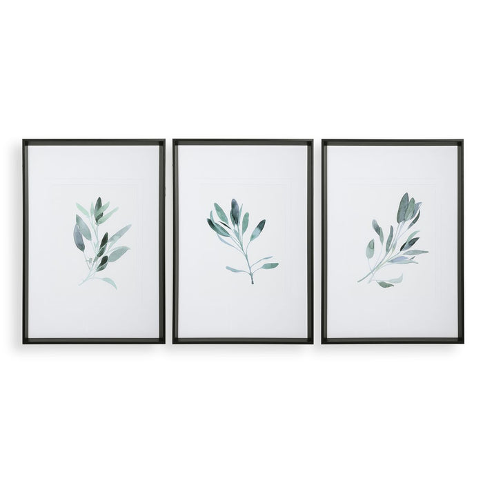 Simple Sage Framed Prints, S/3 - Wall Art