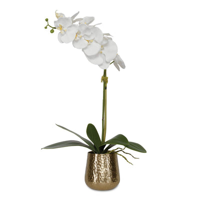 Cami Orchid, Brass - decorative object
