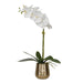 Cami Orchid, Brass - decorative object