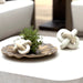 Limestone Link Indoor-Outdoor Sculptures, S/2 - decorative object