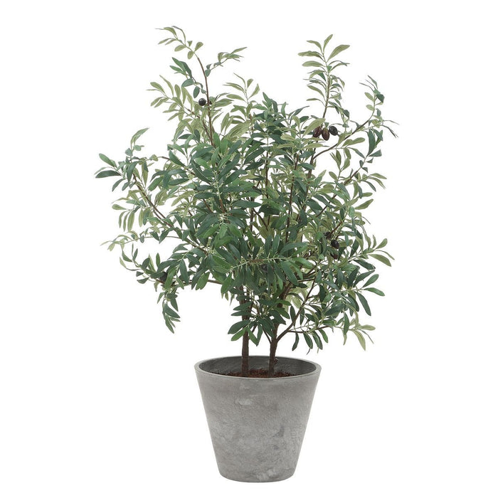 Marisol Potted Olive - decorative object