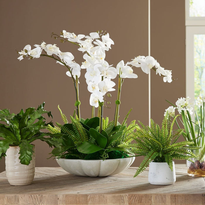 Flourish Orchid Centerpiece - decorative object