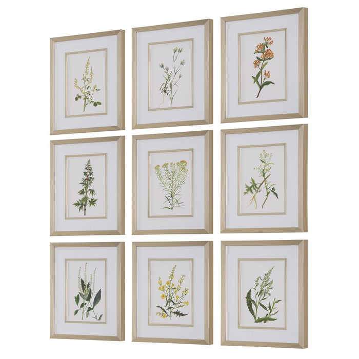Botanical Flowers Framed Prints, S/9 - Wall Art