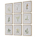 Botanical Flowers Framed Prints, S/9 - Wall Art