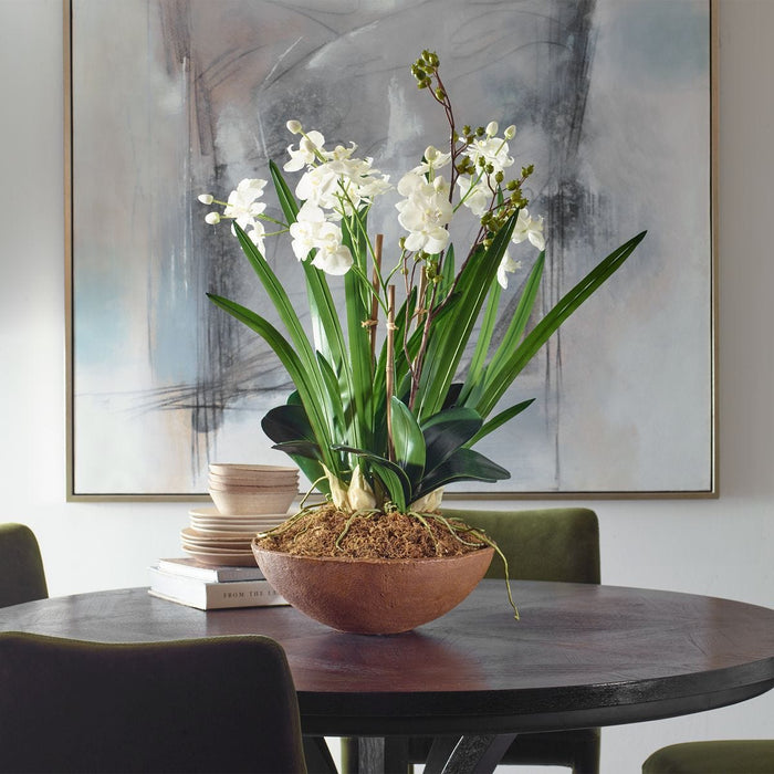 Moth Orchid Planter - decorative object