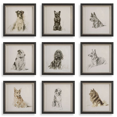 Loyal Companion Framed Prints, S/9 - Wall Art