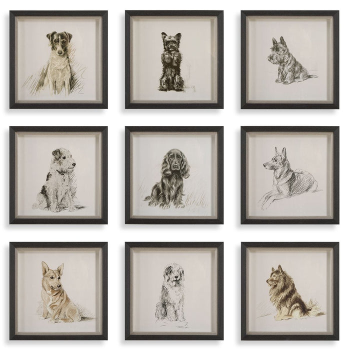 Loyal Companion Framed Prints, S/9 - Wall Art