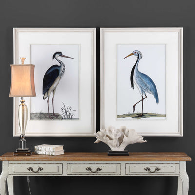 White colorful coastal birds framed set of 2 - wall art - coastal style