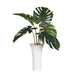 Muse Monstera Centerpiece - decorative object