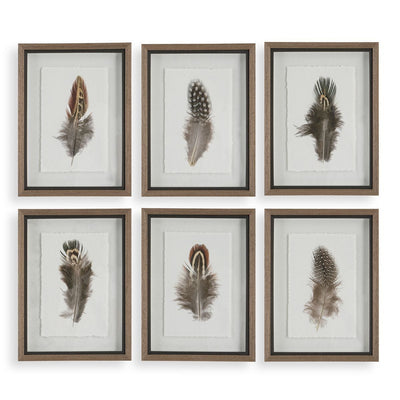Birds of a Feather Framed Prints, S/6 - Wall Art