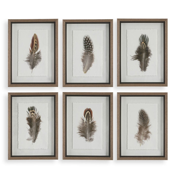 Birds of a Feather Framed Prints, S/6 - Wall Art
