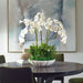 Flourish Orchid Centerpiece - decorative object