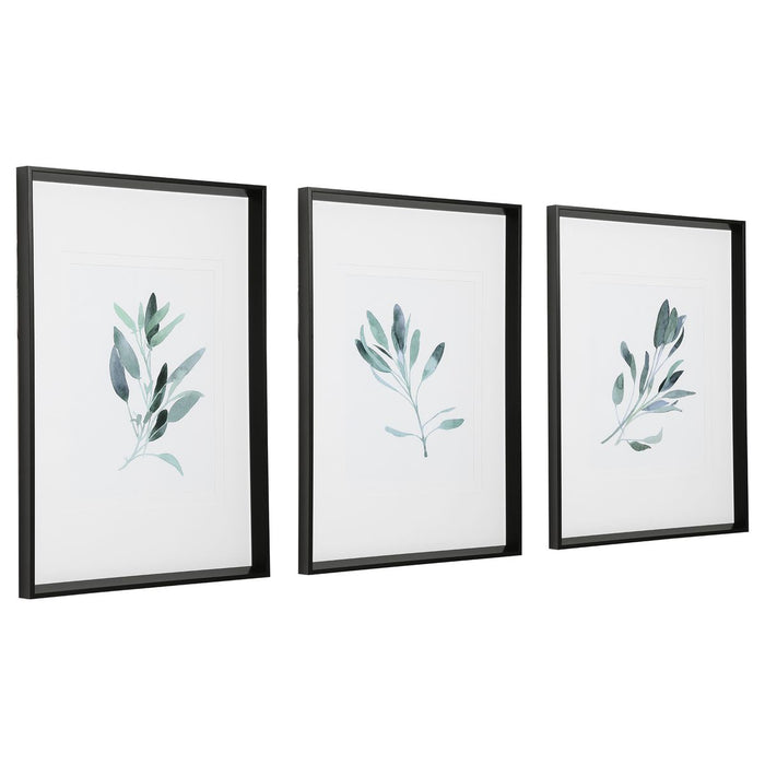 Simple Sage Framed Prints, S/3 - Wall Art