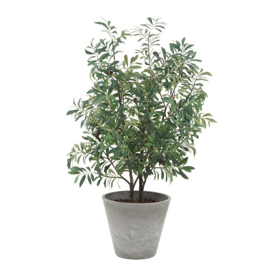 Marisol Potted Olive - decorative object
