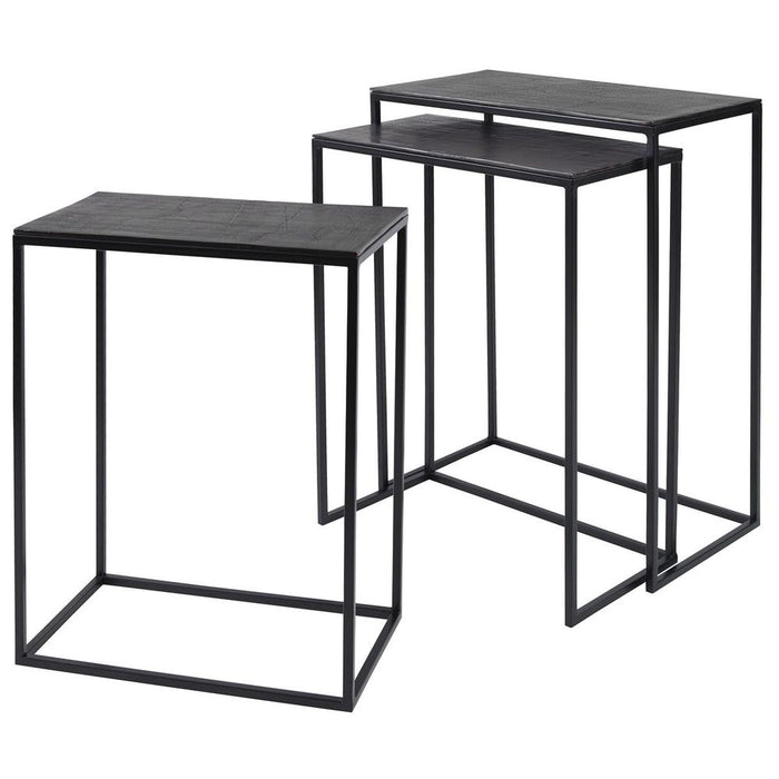Coreene Nesting Tables, Black, S/3 - black iron with bronze top