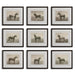 Equine Dynasty Framed Prints, S/9 - Wall Art