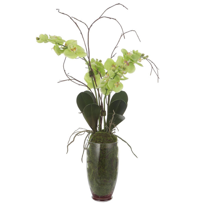 Valdive Orchid - decorative object