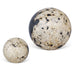 Nouveau Indoor-Outdoor Spheres, S/2 - decorative object
