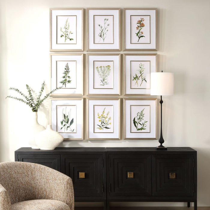 Botanical Flowers Framed Prints, S/9 - Wall Art
