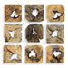 Bahati Wood Wall Decor, Natural, S/9 - Wall Art