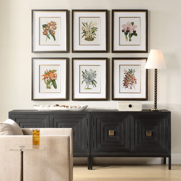 Orchid Botanical Framed Prints, S/6 - Wall Art