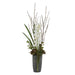 Eterna Orchid Centerpiece - decorative object