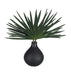 Axis Palm Accent - decorative object