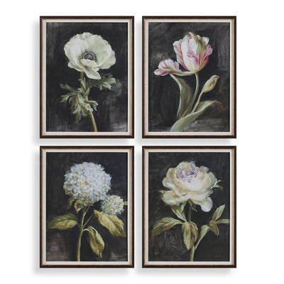 White florals on black framed prints, s/4 - picture frames - traditional