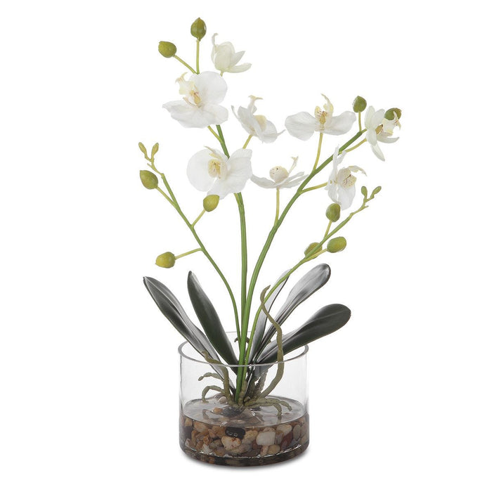 Glory Orchid, White - decorative object