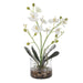 Glory Orchid, White - decorative object