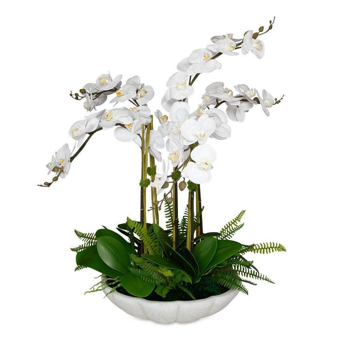 Flourish Orchid Centerpiece - decorative object