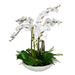 Flourish Orchid Centerpiece - decorative object