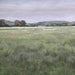 Quiet Meadows Framed Prints, S/4 - Wall Art