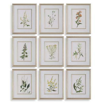 Botanical Flowers Framed Prints, S/9 - Wall Art
