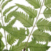 Country Ferns, S/2 - decorative object