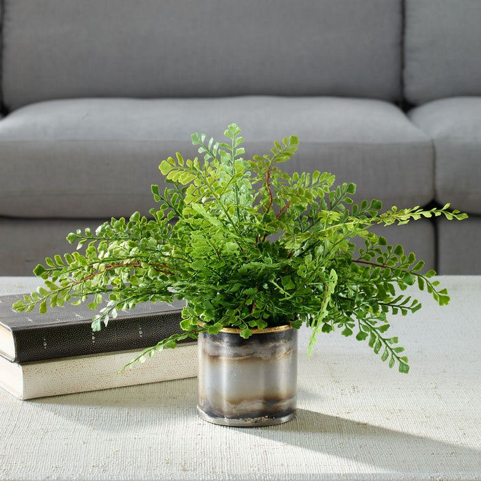 Maidenhair Fern Accent - decorative object