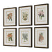 Orchid Botanical Framed Prints, S/6 - Wall Art