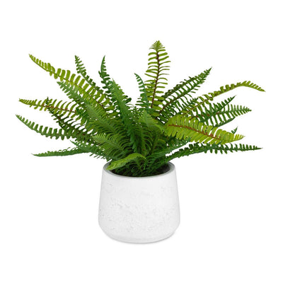 Boston Fern Accent - decorative object