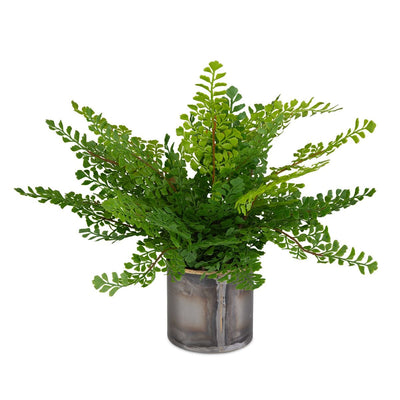 Maidenhair Fern Accent - decorative object