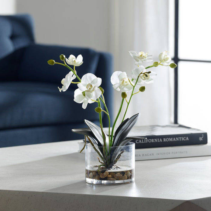 Glory Orchid, White - decorative object