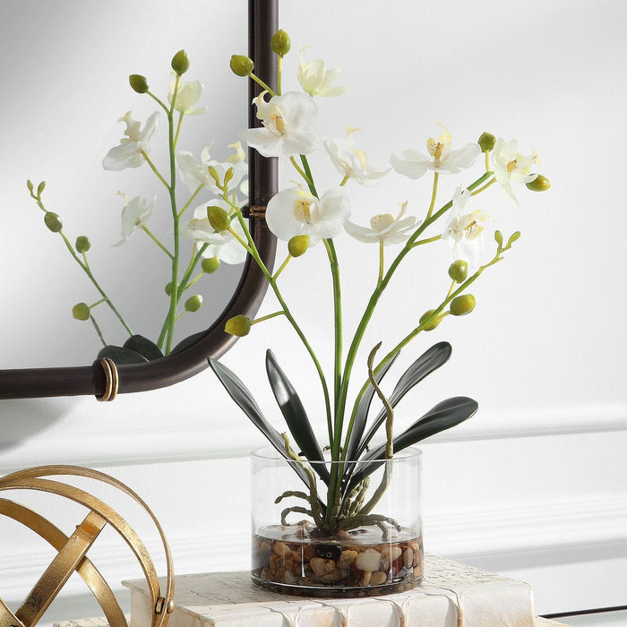 Glory Orchid, White - decorative object