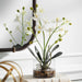 Glory Orchid, White - decorative object