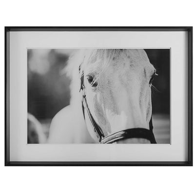 White eyes on the prize wall art - luxury